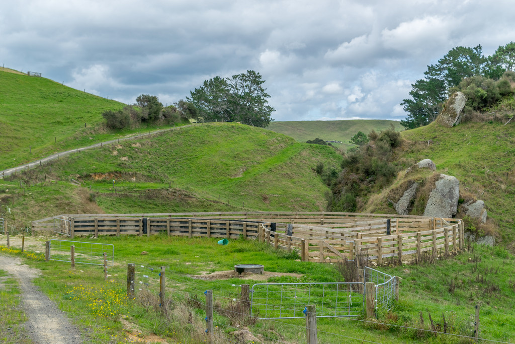 428 Whatauri Road, Wharepapa South, Waipa, 0 Bedrooms, 0 Bathrooms