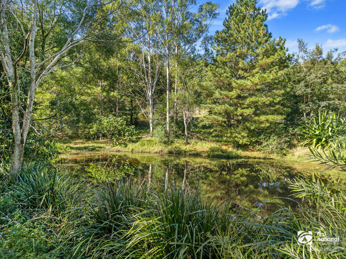 11 WARATAH CT, MOUNT BURRELL NSW 2484, 0 Kuwarto, 0 Banyo, Section