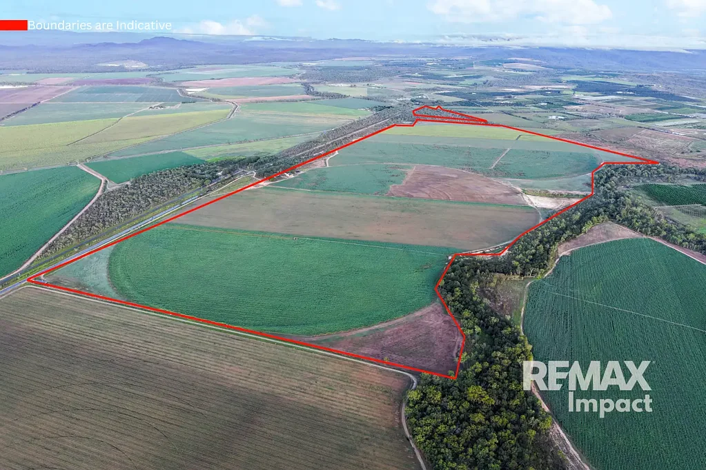 Arriga Premium Cane Farm Opportunity - 87 Chettle Road, Arriga