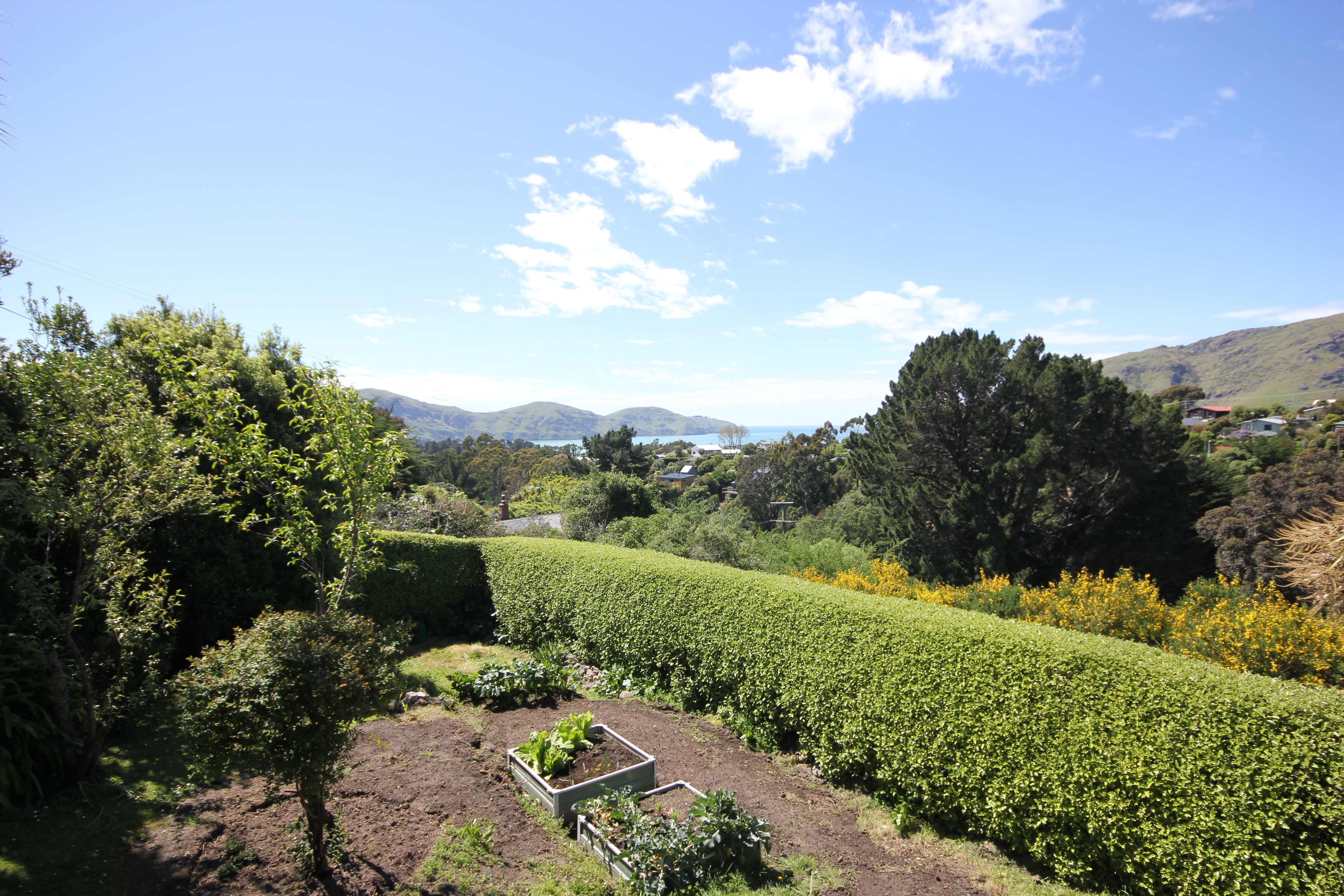 1 Kura Lane, Diamond Harbour, Christchurch, 2 rūma, 1 rūma horoi