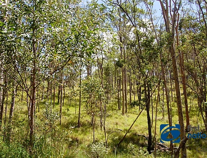 Lot 7 Cyril Smith Circuit, Tabulam, North Coast, 0 રૂમ, 0 બાથરૂમ, Lifestyle Property