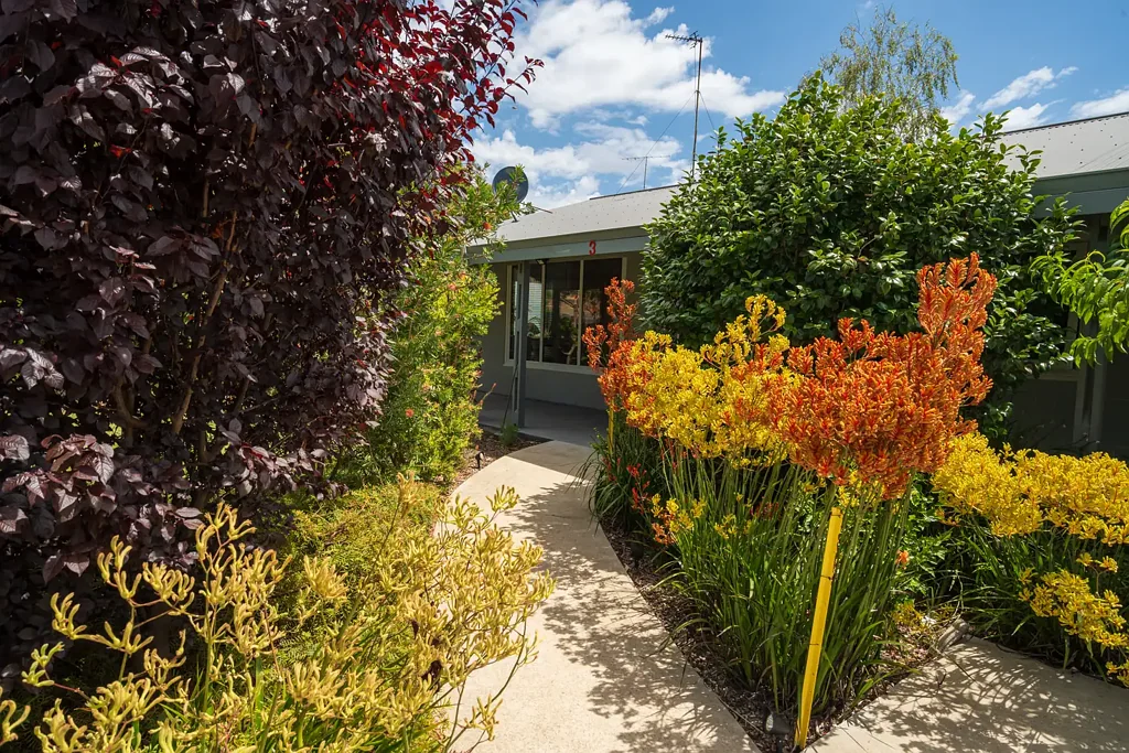 3 Somerville Street, Manjimup, WA 6258