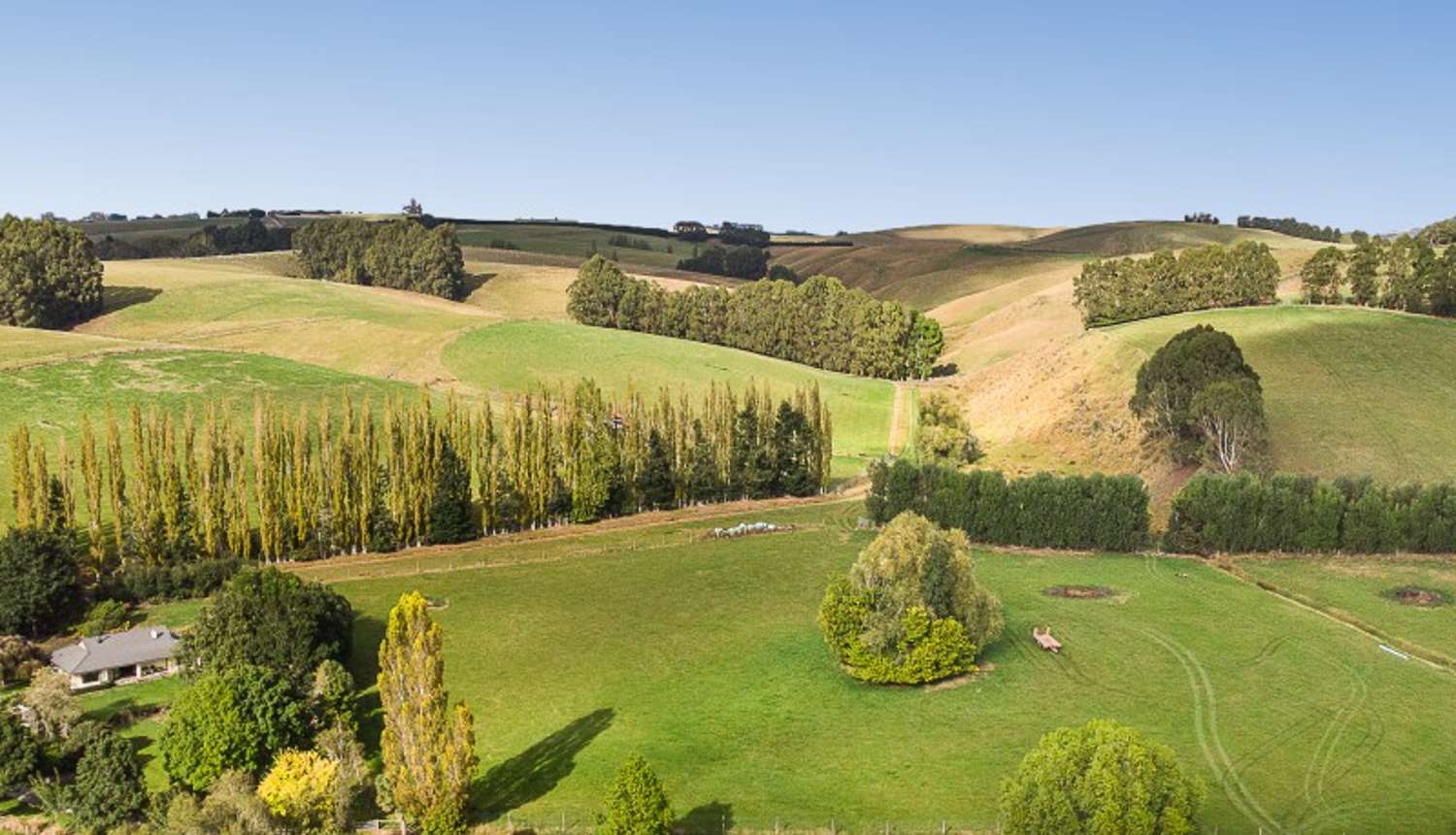 83 Waitahuna Cemetery Road, Waitahuna, Clutha, 4 ਕਮਰੇ, 1 ਬਾਥਰੂਮ, Grazing