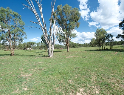 1380 Elsmore Road (Elsmore), Inverell, Tamworth, 0 ਕਮਰੇ, 0 ਬਾਥਰੂਮ, Lifestyle Property