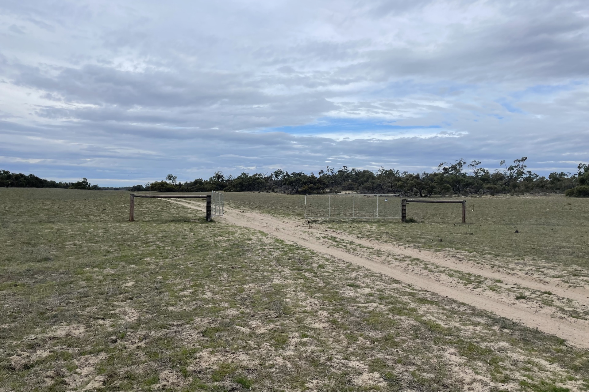 1287 BAAN HILL RD, LAMEROO SA 5302, 0房, 0浴, Lifestyle Property