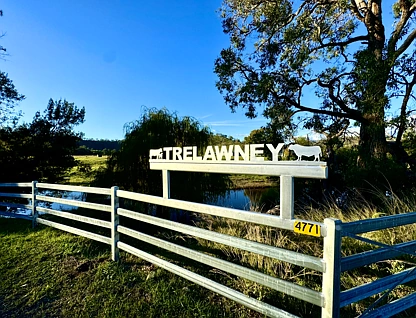"Trelawney" Hunter Road Moonan Flat (Via), Scone, Hunter, 4 غرف, 2 حمامات, Lifestyle Property