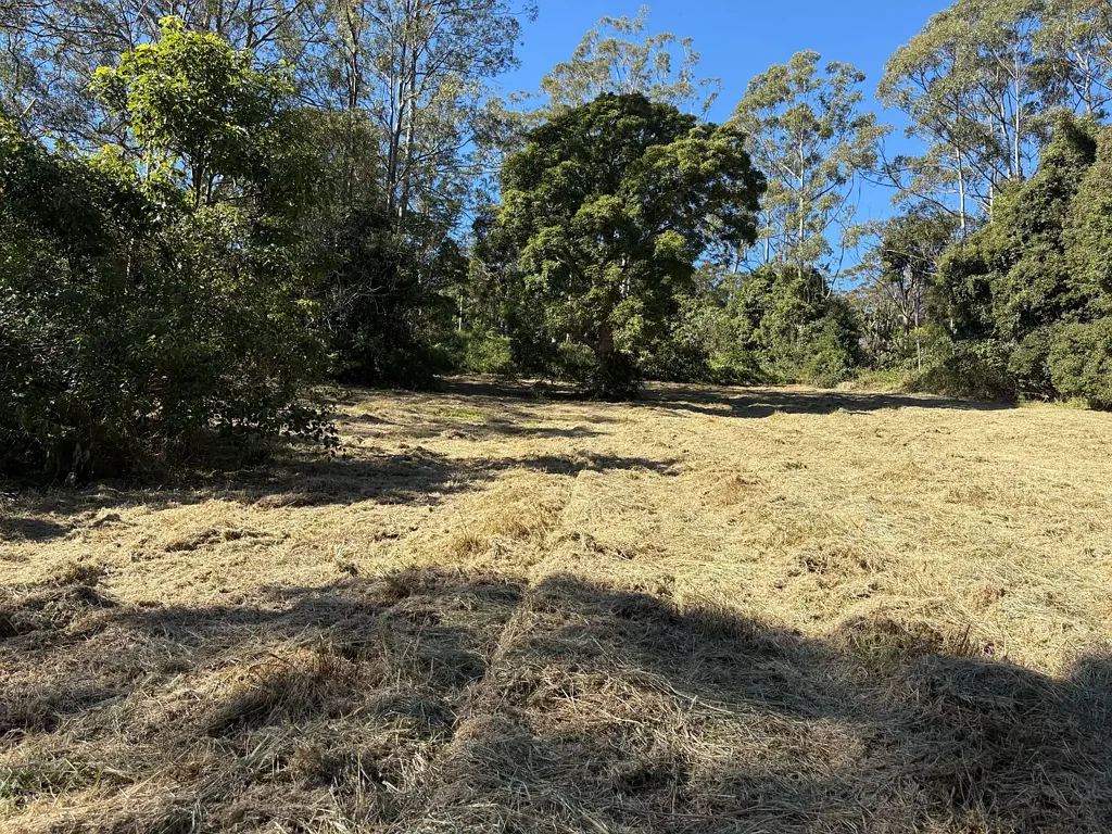Beechmont RESERVE PRICE HAS BEEN SLASHED AS OWNER WANTS IT SOLD