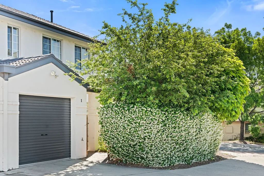1/3 Port Jackson Circuit, Phillip, ACT 2606