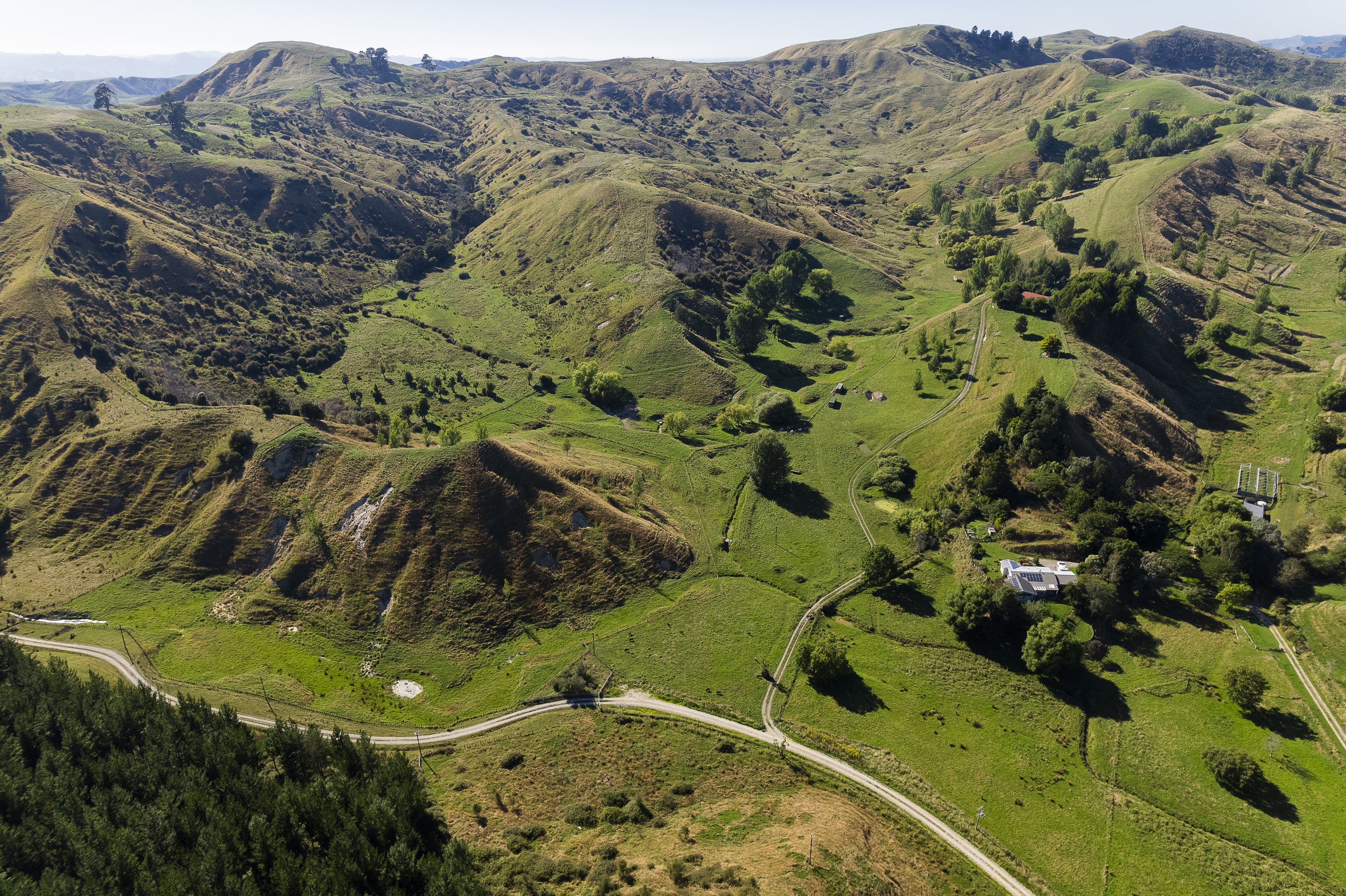 200 Campbell Road, Ngatapa, Gisborne, 0 chambres, 0 salles de bain, Grazing