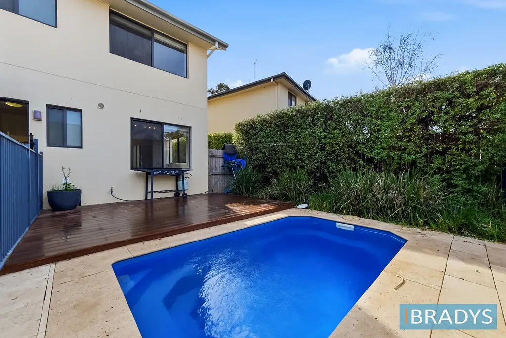 Harrison 4 Bedroom Contemporary family living with Plunge Pool