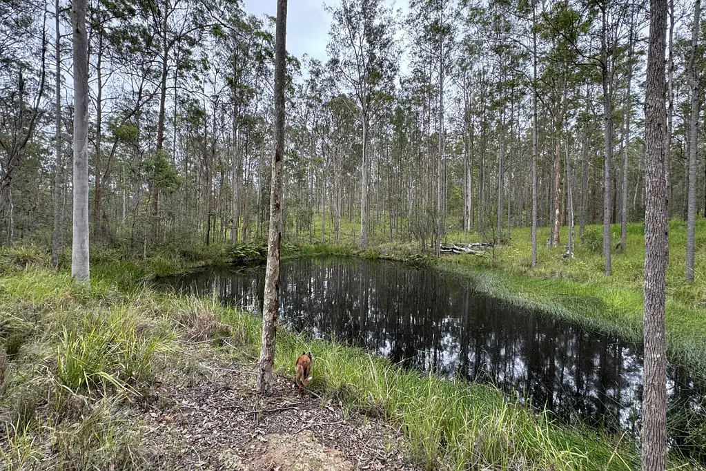 178 Link Road, Yarravel, NSW 2440