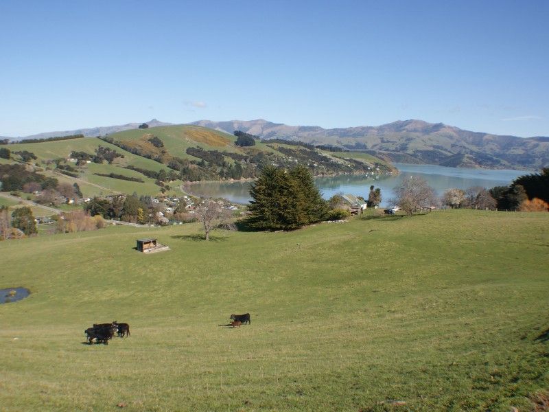 Rural Banks Peninsula