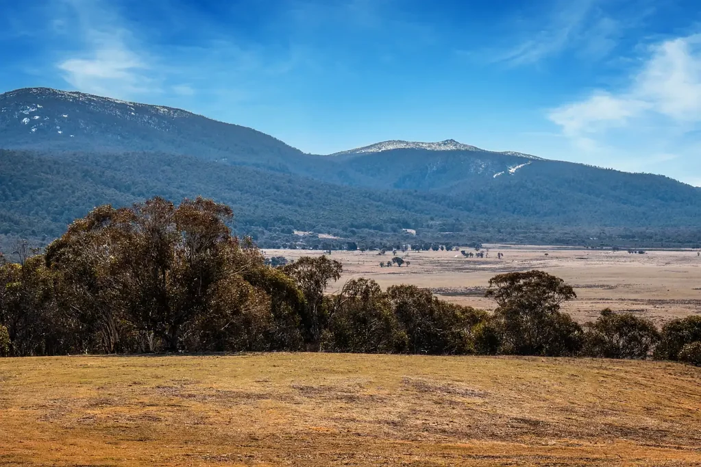 Yaouk THE LOOKOUT - YAOUK NSW