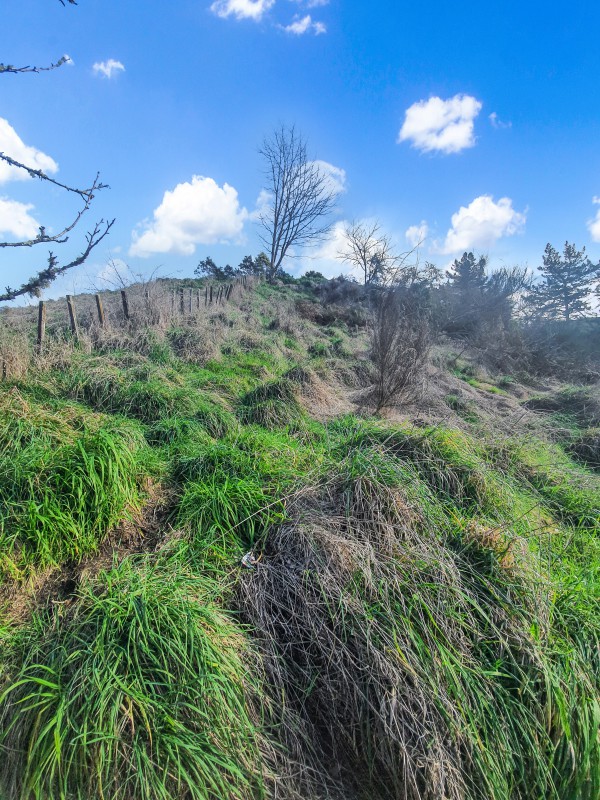 36 Bullians Avenue, Taumarunui, Ruapehu, 0 chambres, 0 salles de bain