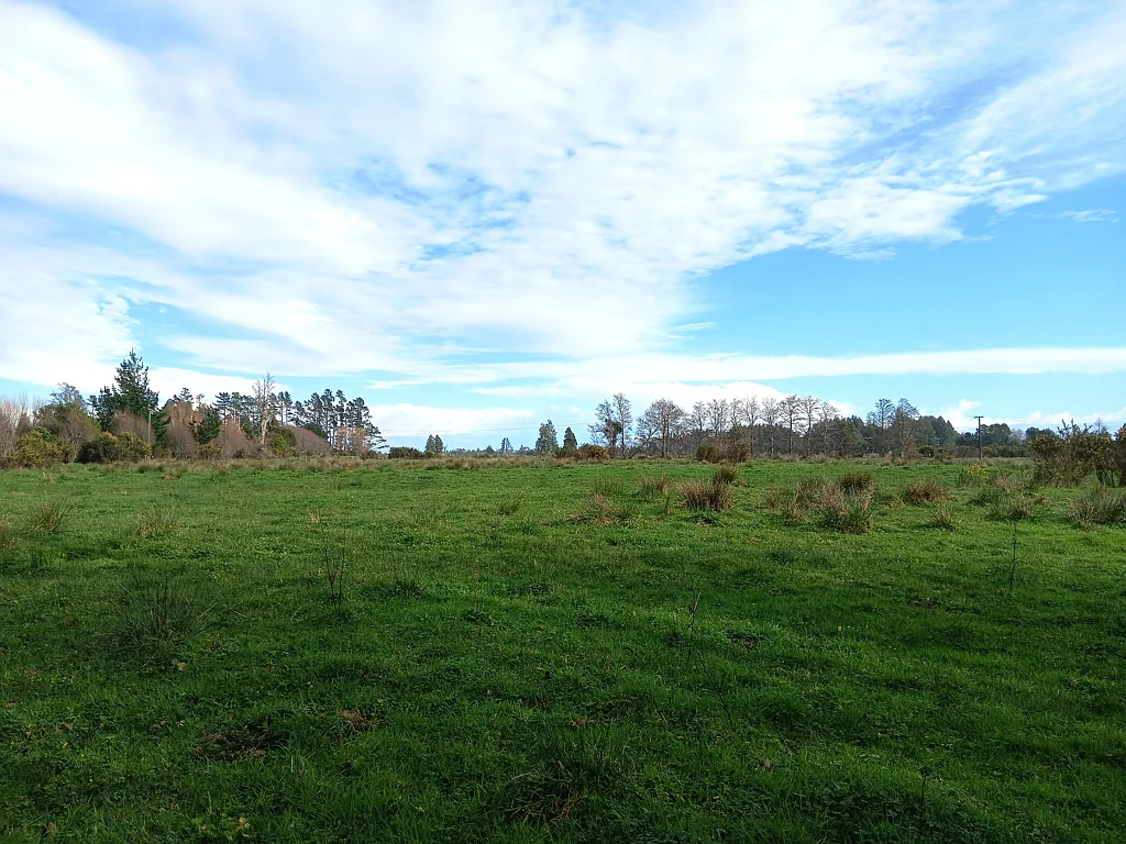 Westport Surrounds Lifestyle Opportunity on approx 7 Hectares