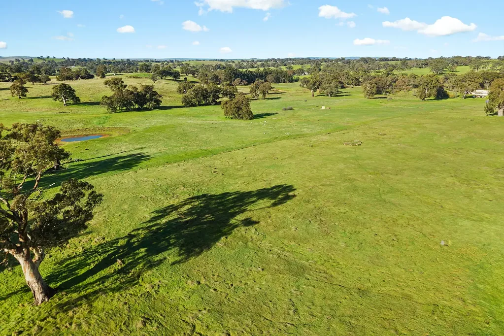 Mount Pleasant  Serenity Aplenty – With 80 Historic Acres to Get You Started.