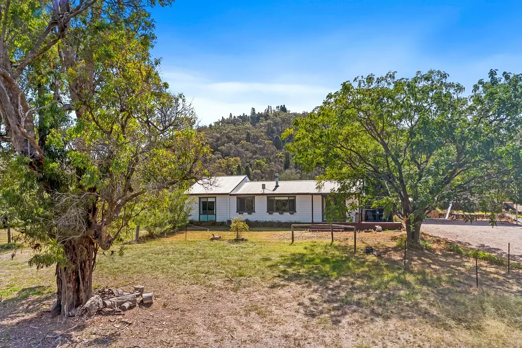 Mudgee  'HILLVIEW' - WHERE THE WILD ORCHIDS GROW