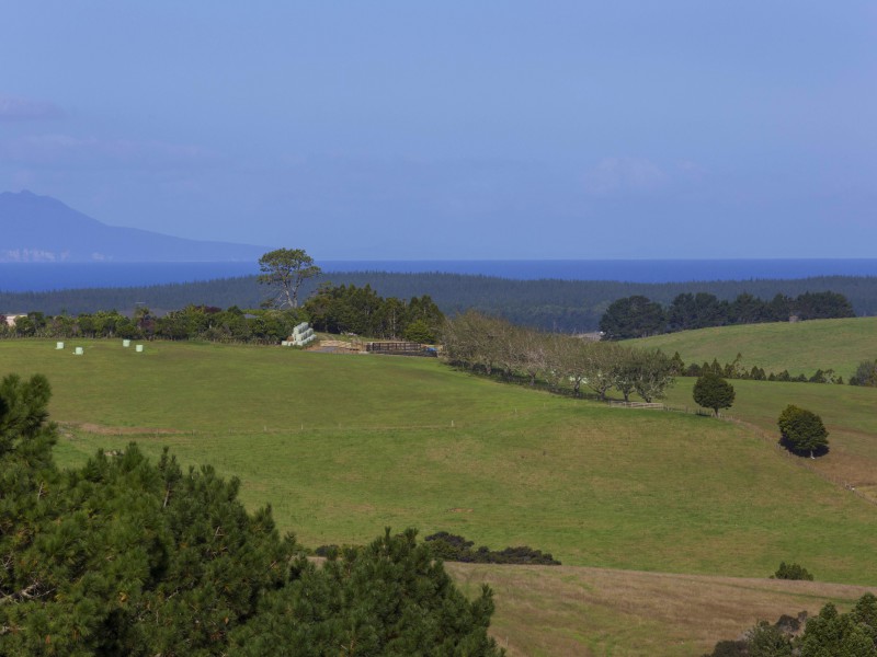 19 Cemetery Road, Maunu, Whangarei, 5 Kuwarto, 0 Banyo