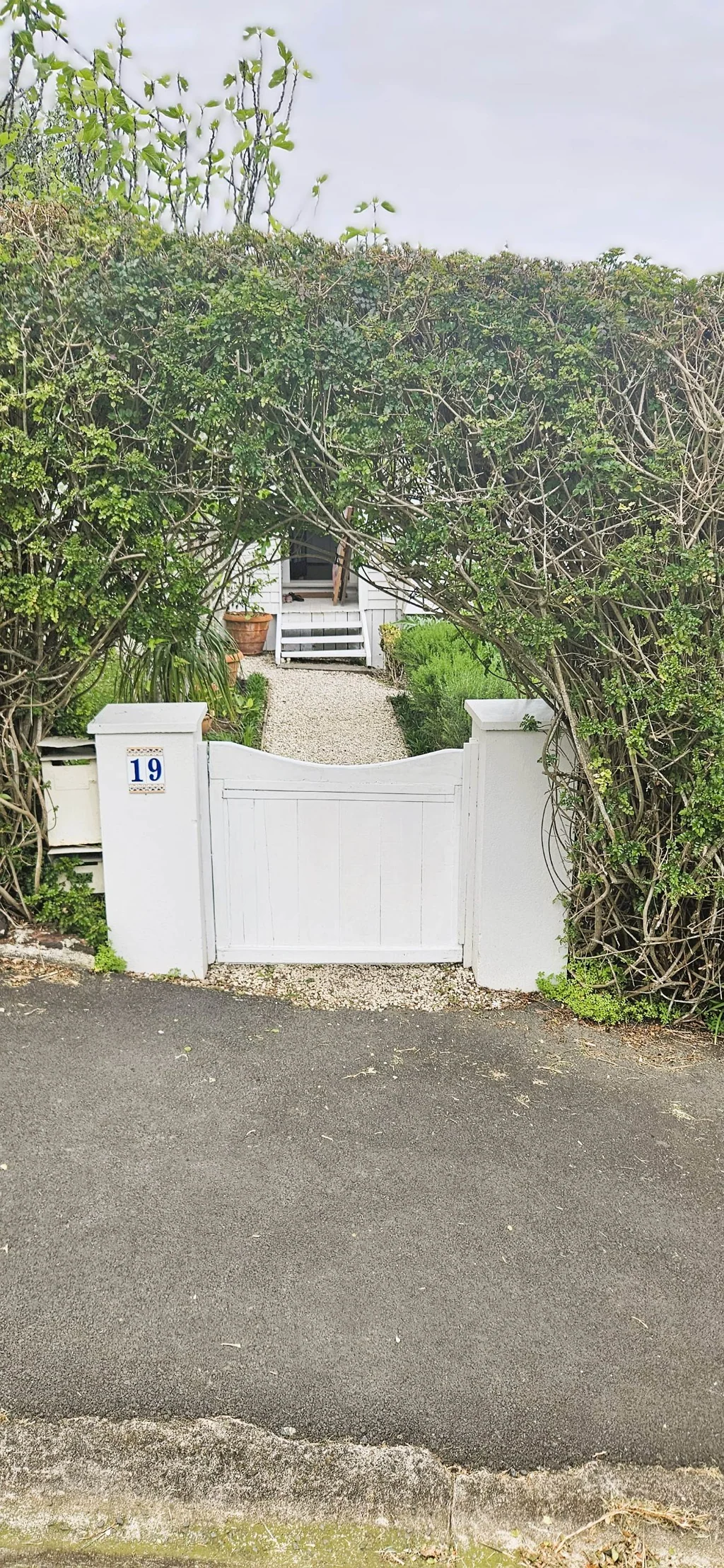 Something special - Devonport Living