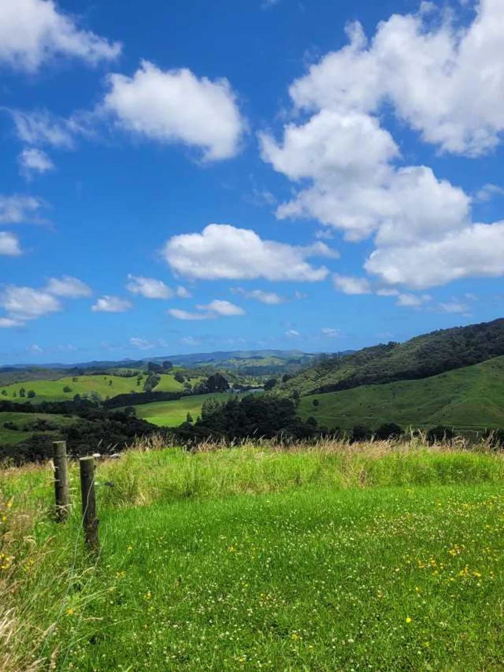 Kaitaia 2 Bedroom Herekino off-grid with fabulous views