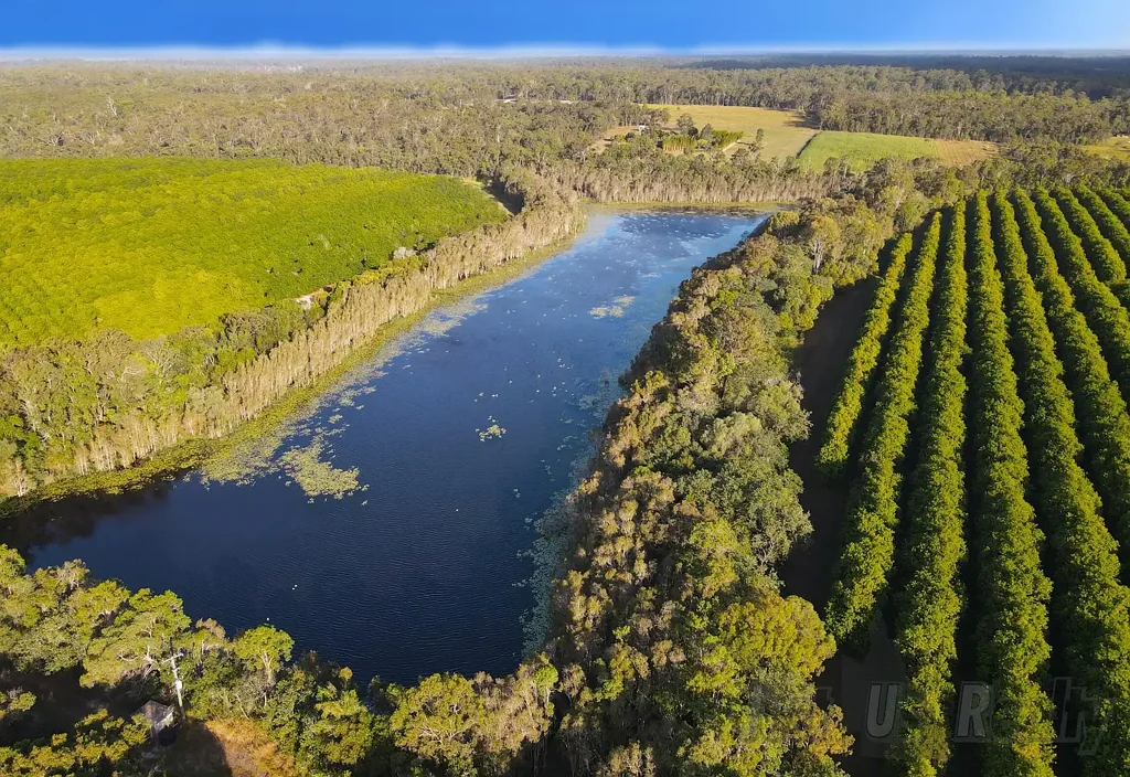 Avondale  Prime Agricultural Asset - Dual Titles with Limitless Potential