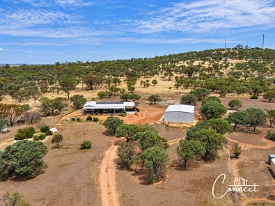 Cunderdin 3Kwarto Room to Move in the Heart of the Country