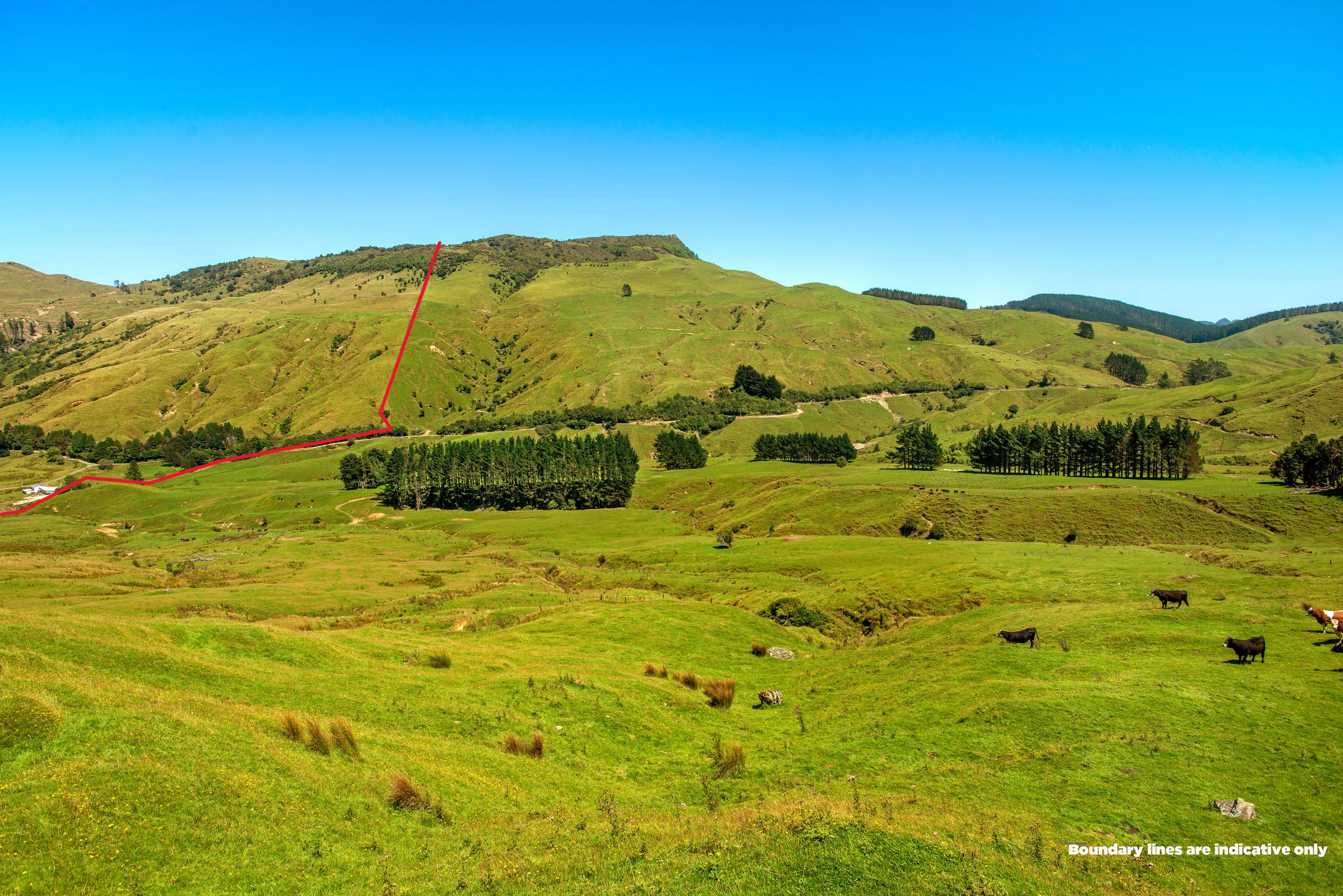 3286 Whakarau Road, Opotiki Coastal, Opotiki, 0 침실, 0 욕실, Unspecified