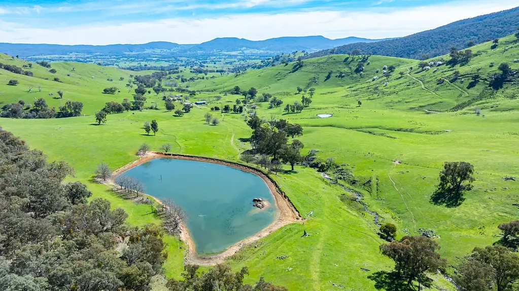Yackandandah  High Rainfall Grazing with Scale - Yackandandah