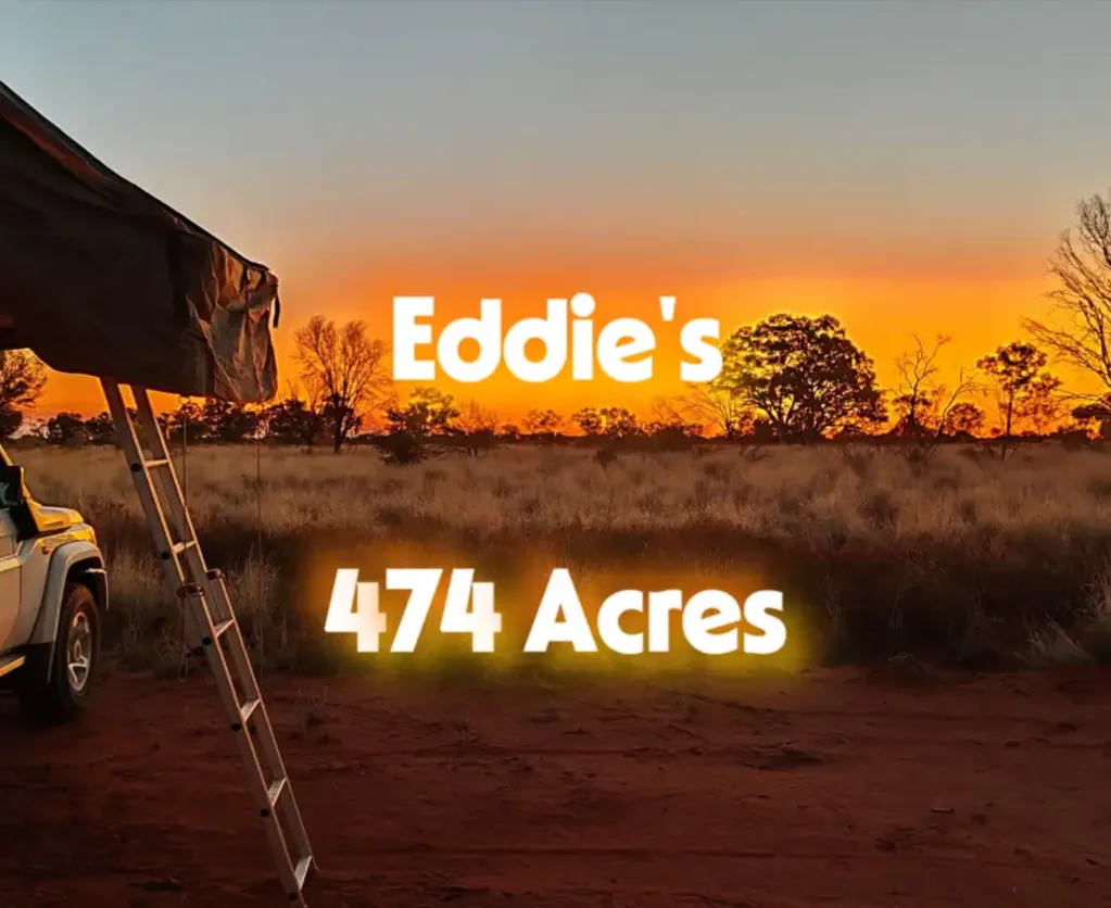 Mount Mary  EDDIE'S - Sheep, Camping, 4wd'ing, Fun!