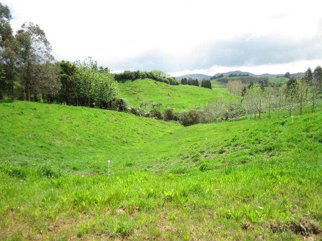 84 Kennedy Road, Waikino, Hauraki, 3 habitaciones, 0 baños