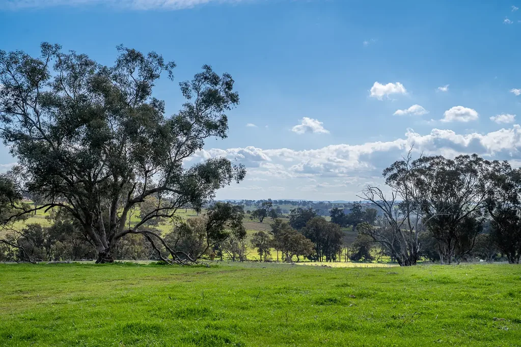 Bowan Park "Spring Creek" Bowan Park - 295 acres, dual creek frontage, building entitlement