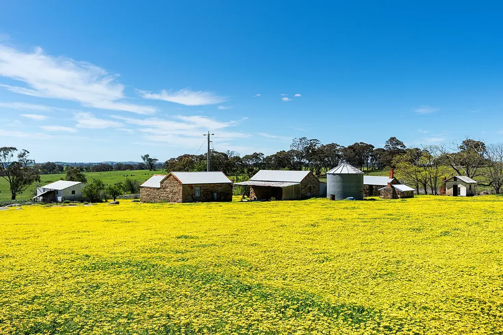 Maldon Historic Grazing Land with Grand Restoration Potential