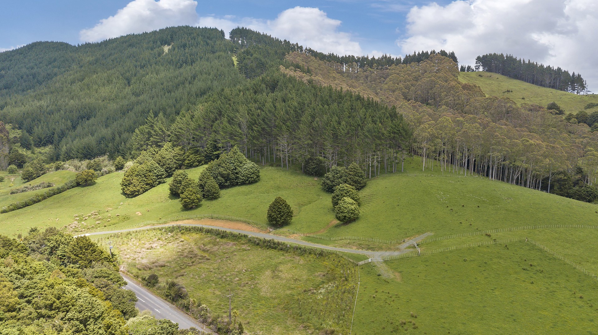 750 Whangaripo Valley Road, Whangaripo, Auckland - Rodney, 0 રૂમ, 0 બાથરૂમ