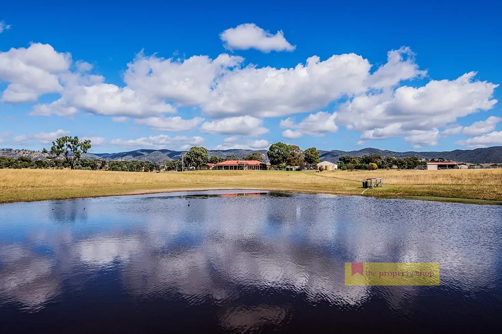 411 Spring Flat Road, Mudgee, NSW 2850