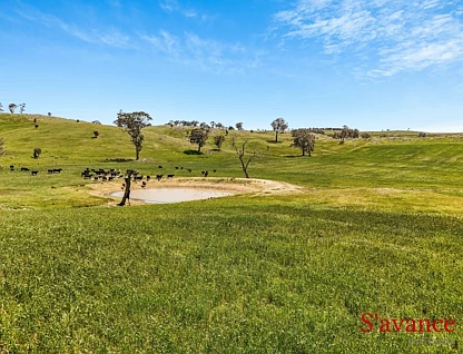 Lot 50 Fendlers Road, Tungkillo, South East, 0 રૂમ, 0 બાથરૂમ, Lifestyle Property