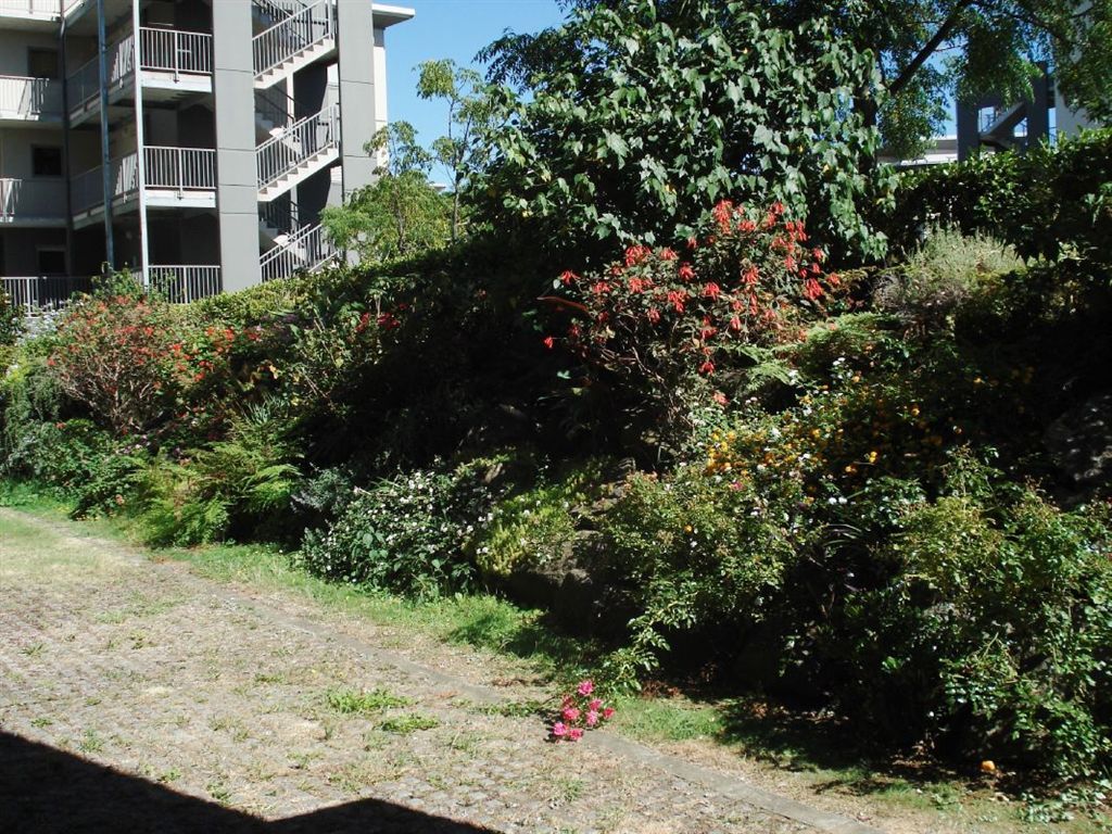 3d/20 Morning Star Place, Mount Albert, Auckland, 3 Bedrooms, 1 Bathrooms