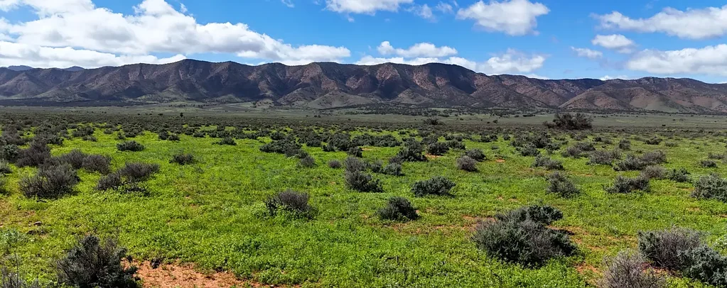 Emeroo  Emeroo - For Lease - EOI close 11th June 2026