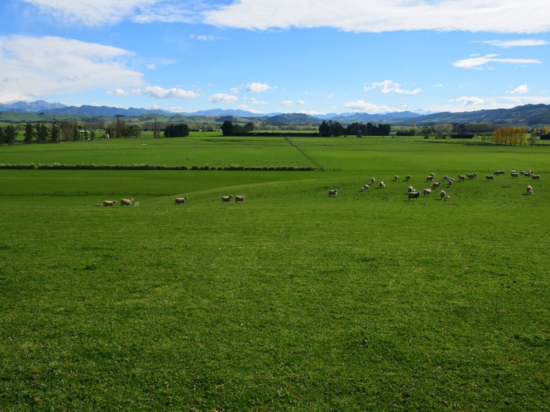 966 Leader Road East, Waiau, Hurunui, 2 침실, 1 욕실