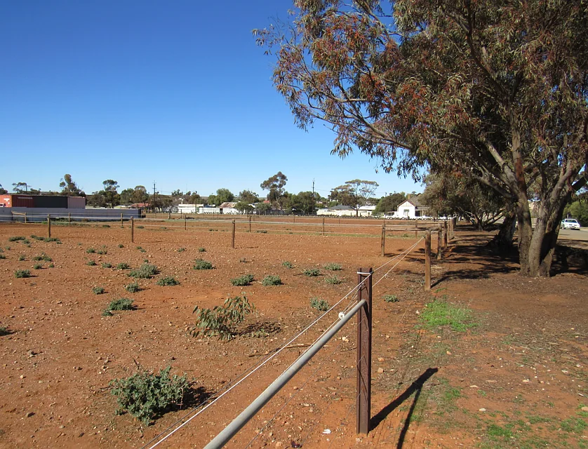 Lot 873 Victoria East Street, Peterborough, Barossa - Yorke - Mid North, 0 habitaciones, 0 baños, Section