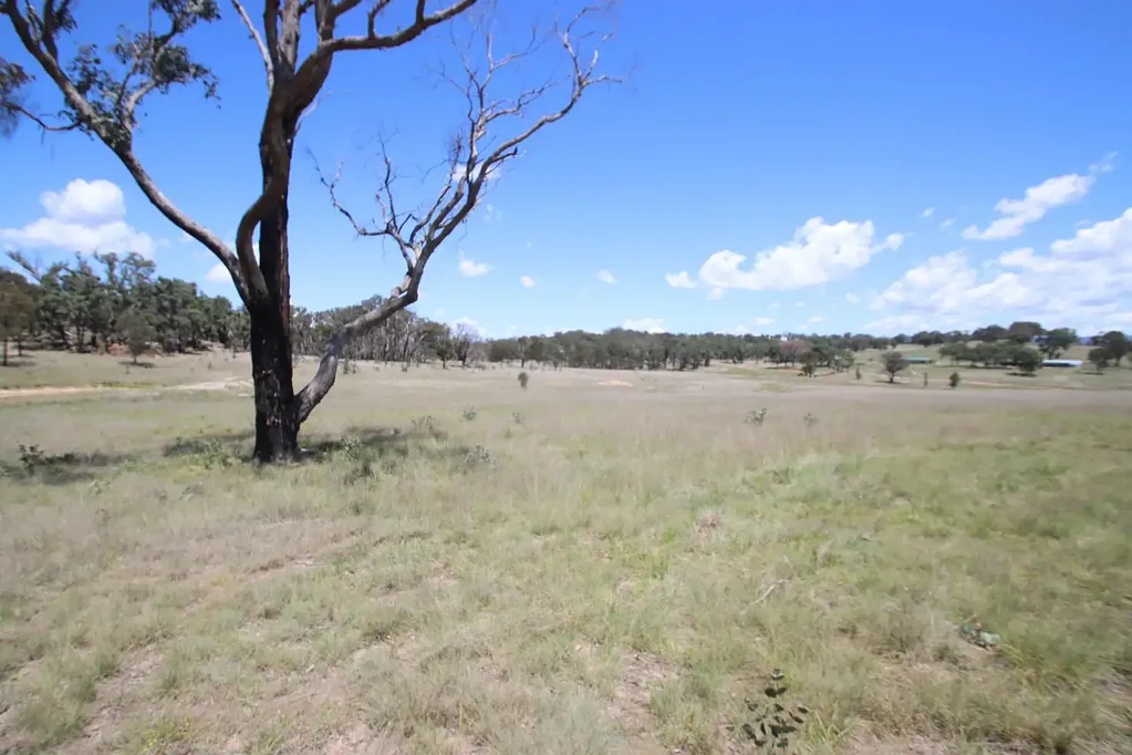 Tenterfield Good water here!!
