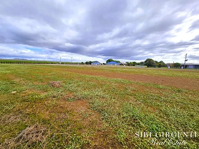 LOT 6 Tilse Street, Mareeba, QLD 4880, 0 slaapkamers, 0 badkamers, Section