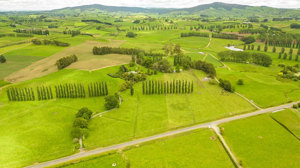 Matamata Options from 8ha to 65ha