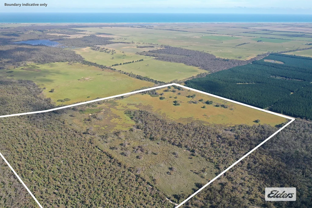 Giffard Heathy Woodlands - 202 Acres