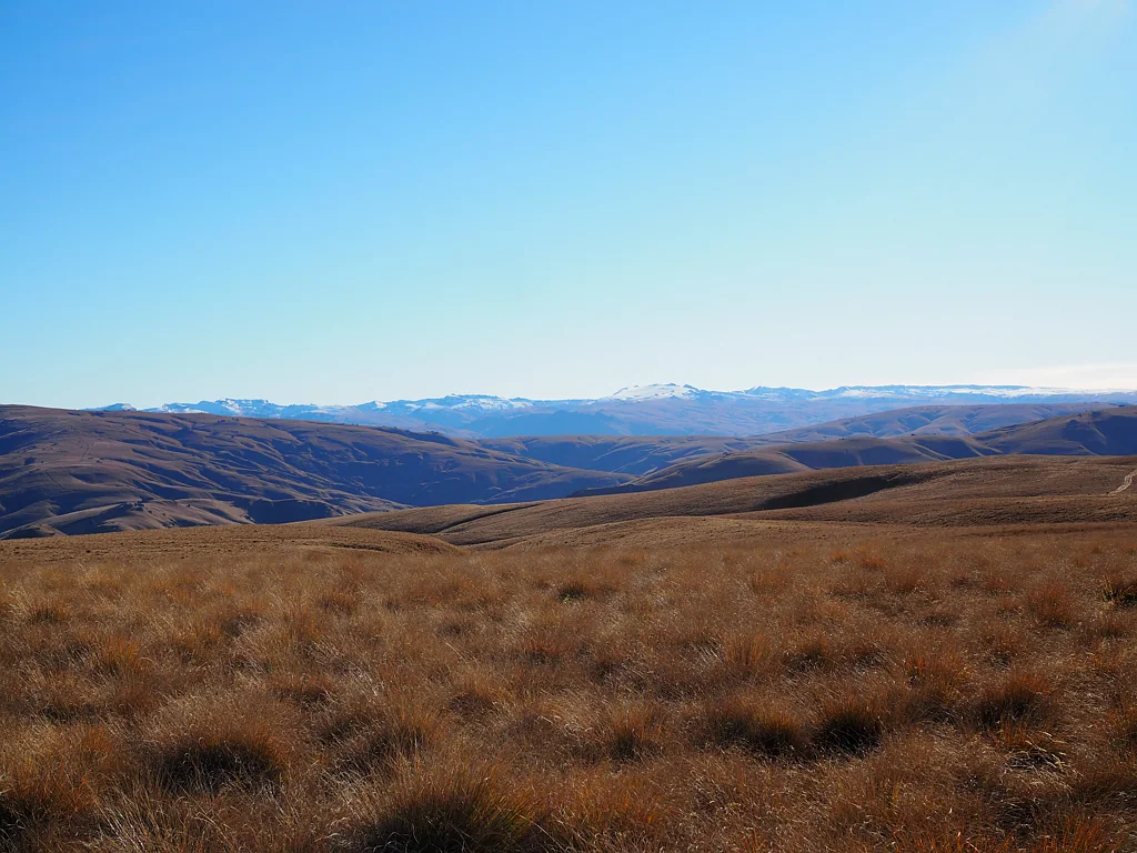 Ettrick Central Otago High Country Run