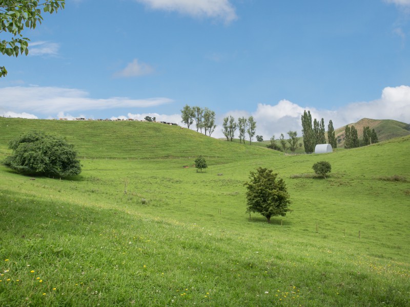 85 Veale Road, Otorohanga, Otorohanga, 0 Schlafzimmer, 0 Badezimmer