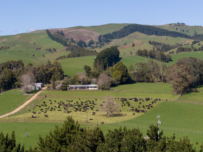 Pond Road, Raglan, Waikato, 0 phòng ngủ, 1 phòng tắm, Lifestyle Property