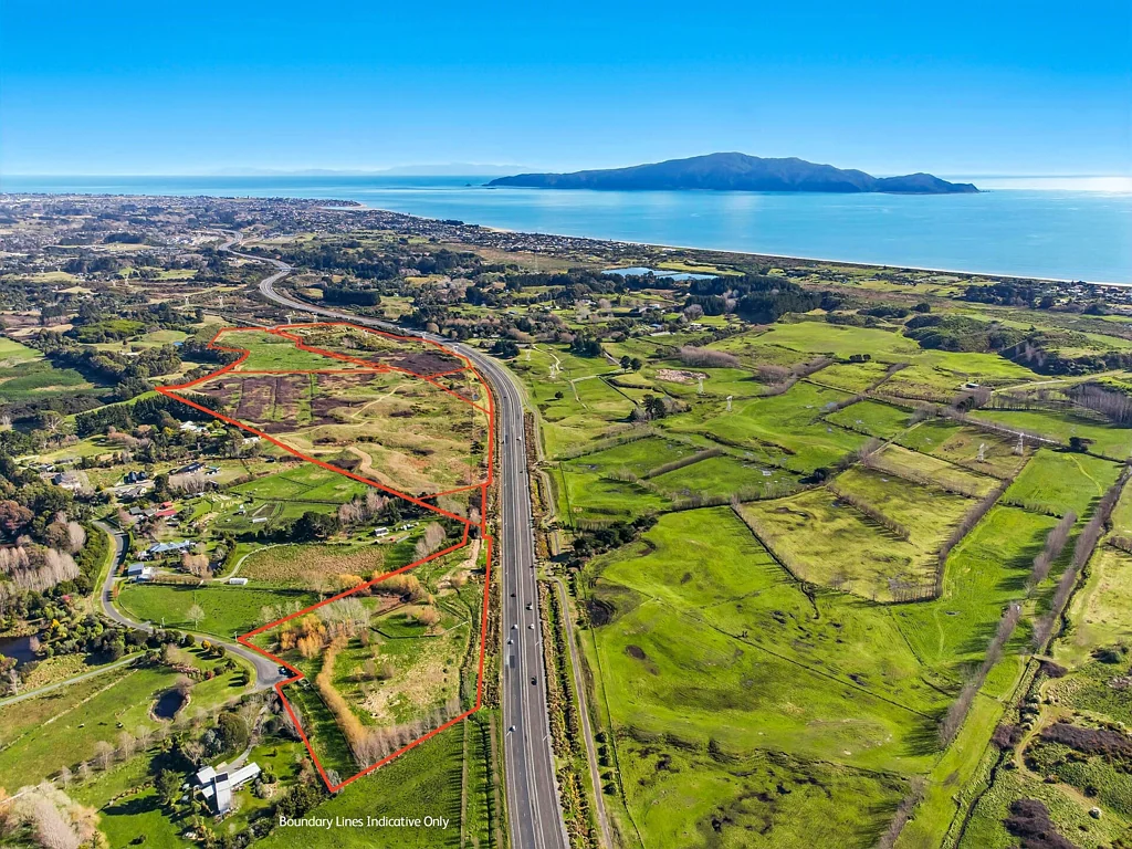 Waikanae Coastal Kapiti scale and potential