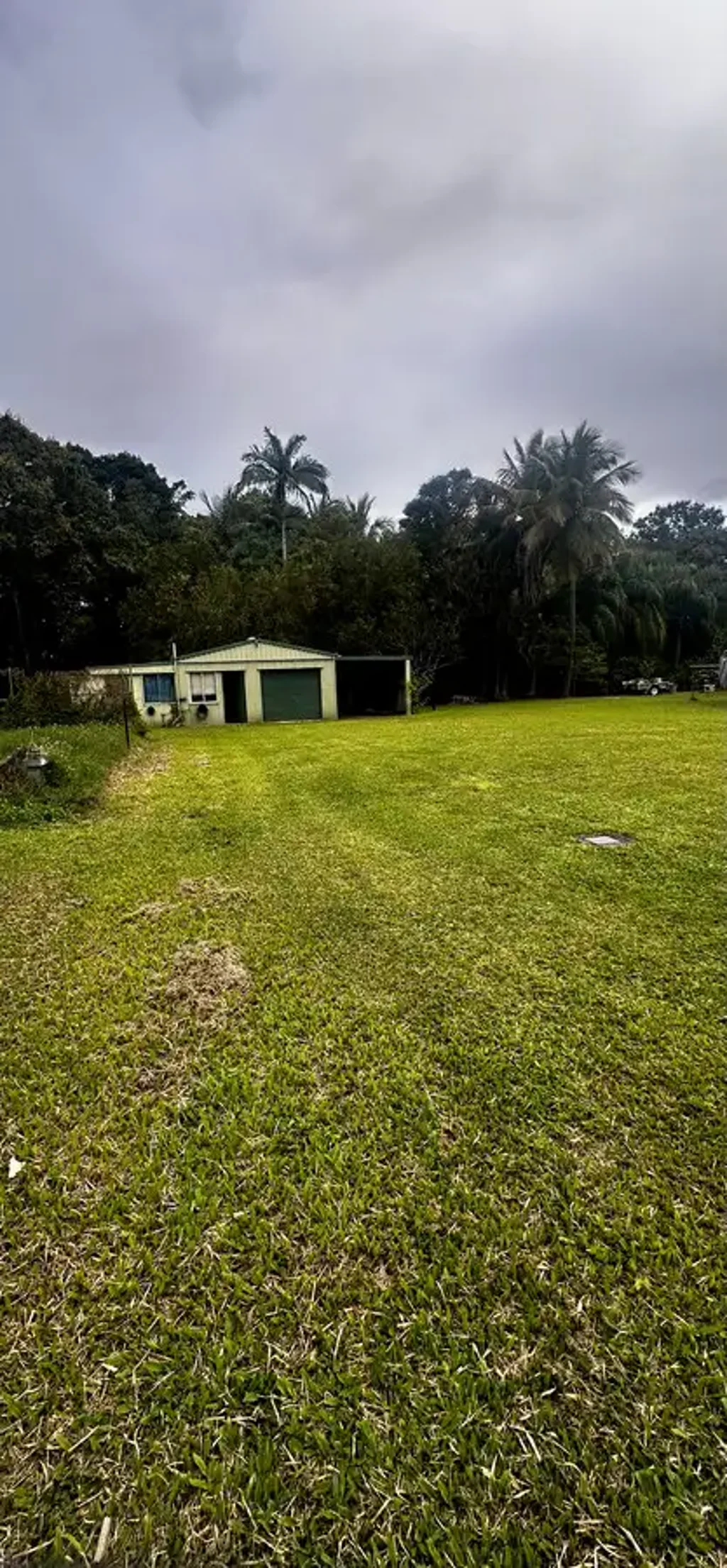 Spacious Family Home on Huge Block with Shed