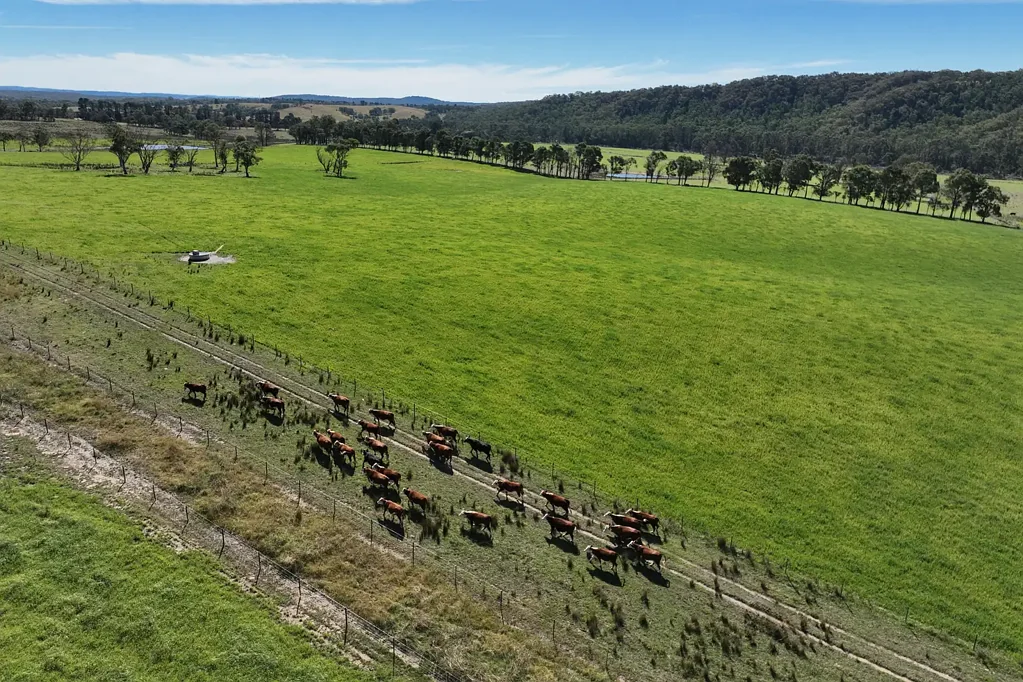 710 Inverary Road, Paddys River, NSW 2577