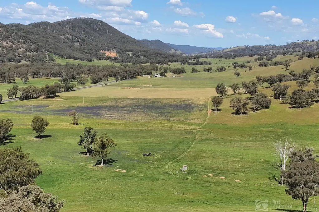Mudgee FARMING AND LIFESTYLE JUST OUT OF MUDGEE